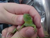 Фотография Самарина Даниила