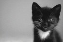 Фотография Life One