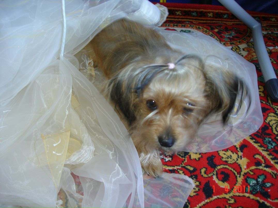 Иван Андреев фотография #49