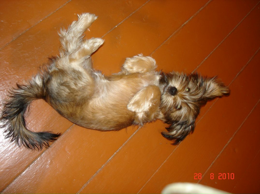 Иван Андреев фотография #42