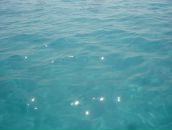 Фотография Князевой Марины