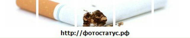 Сергей Осокин фотография #42 (источник - https://vk.com/id26323935)