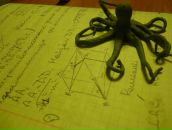 Фотография Free Tis