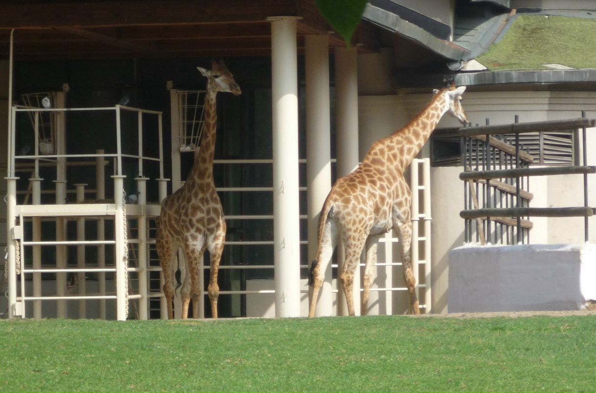 Мария Мищенко фотография #25