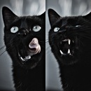 ιll ɐloɔ..ιll фотография #42 (источник - https://vk.com/id134534167)