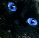 Фотография Шишкиной Натальи