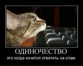 Фотография Щепкиной Марии