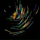 Фотография Джекича Евгения