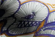 Фотография Резвого Илика