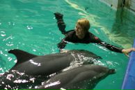 Фотография Романовой Юли