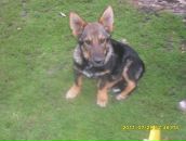 Ірина Орлевич фотография #39 (источник - https://vk.com/id112985111)