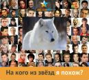 Ігор Снідко фотография #47 (источник - https://vk.com/id139387120)