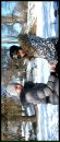 Оксана Бєлая фотография #36 (источник - https://vk.com/id61950032)