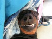 Фотография Семенкова Вячеслава