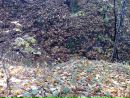 Анатолий Кучма фотография #28 (источник - https://vk.com/id85846513)