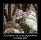 Андрій Дущак фотография #39 (источник - https://vk.com/id95316846)
