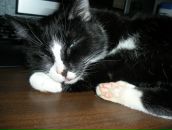 Фотография Нестеровой Ольги