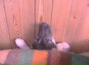 Фотография Бутусовой Александры