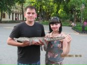 Ігор Курцеба фотография #19 (источник - https://vk.com/id18137560)