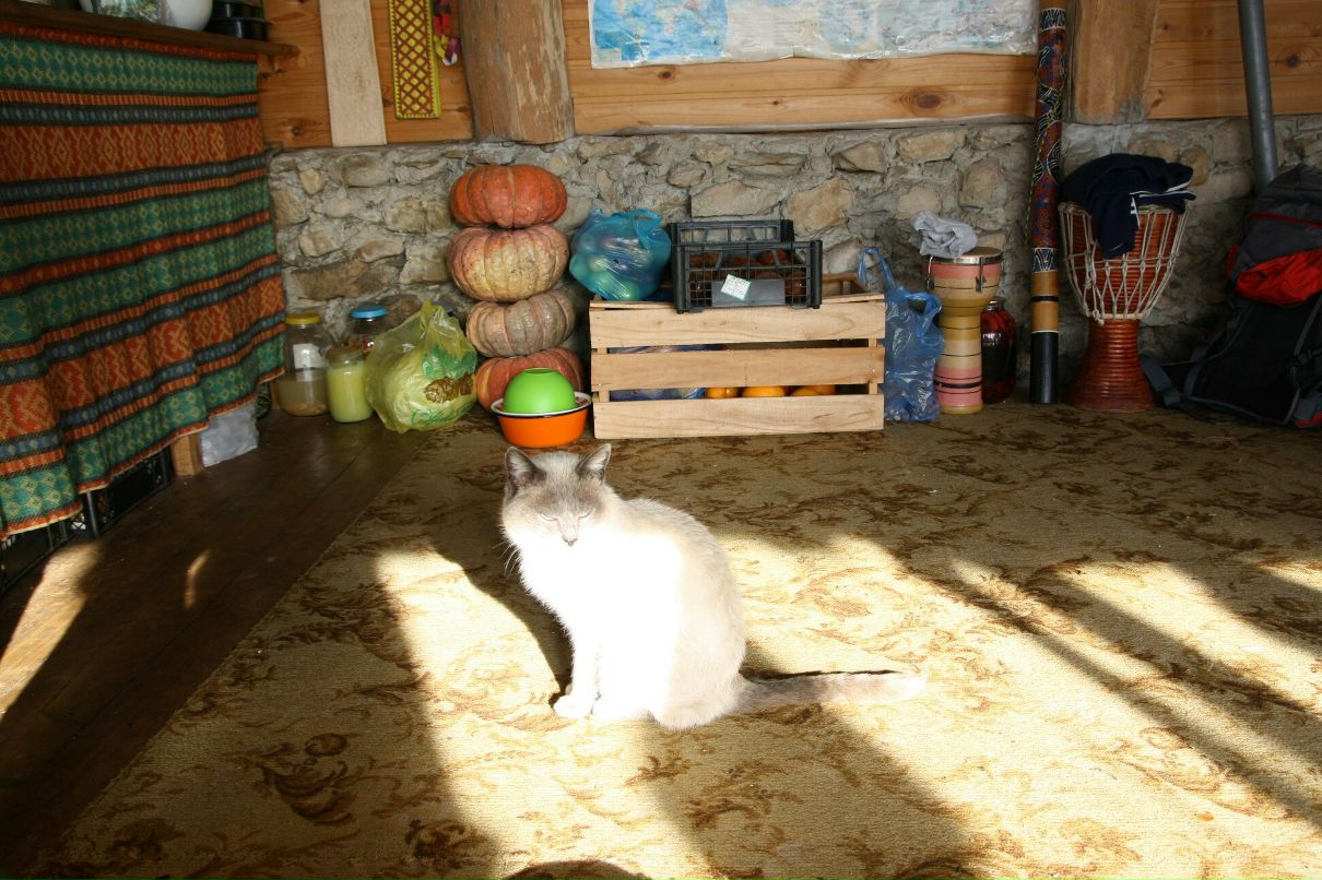 Дмитрий Нестеров фотография #41