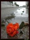 Фотография Поповой Ирины