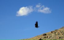 Миша Мишин фотография #41 (источник - https://vk.com/id7496491)