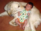 Фотография Птицына Тимофея