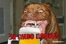Коля Матвійчук фотография #42 (источник - https://vk.com/id136702782)