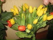 Фотография Фроловой Людмилы