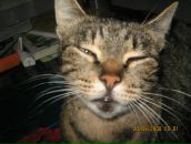 Фотография Грищенковой Татьяны