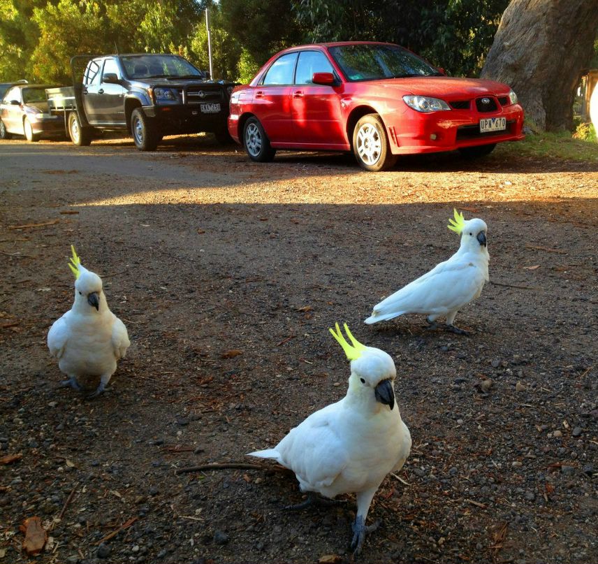Слава Щербаков фотография #17