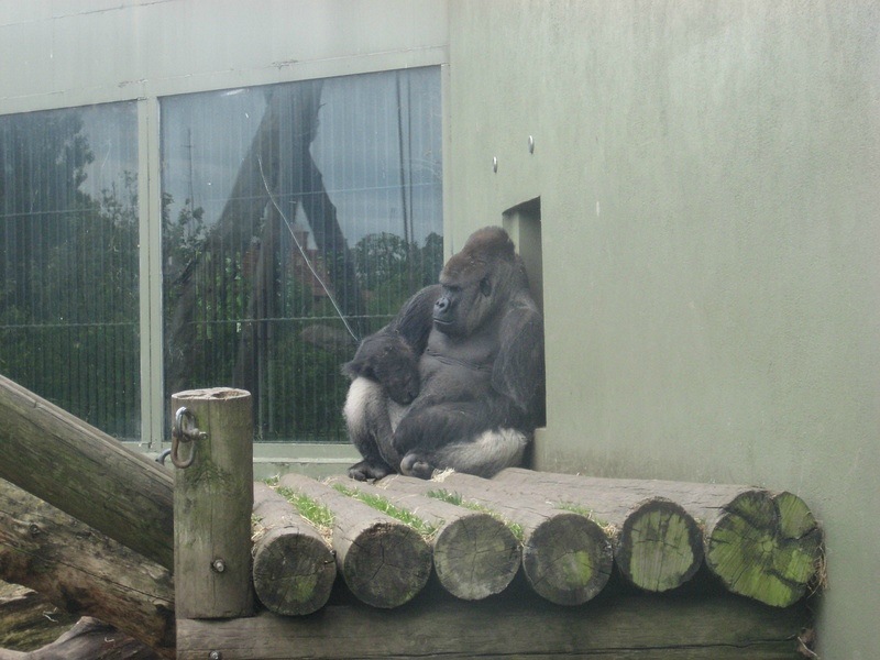 Дмитрий Рекун фотография #41