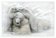 Фотография Журавлёвой Елены