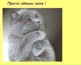 Фотография Никитиной Екатерины