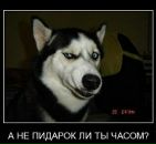 Фотография Лядова Миши