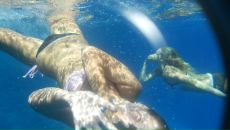 Фотография Исаевой Светланы