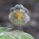 Фотография Дехканбаевой Линды