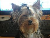 Фотография Голованова Павла