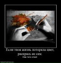 Фотография Адкиной Ирины
