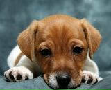 Фотография Ledovskikh Marisha