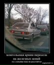 Фотография Середова Александра