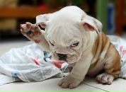 Фотография Сушилина Евгения