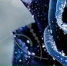 Наталі Котелянець фотография #35 (источник - https://vk.com/id77193697)