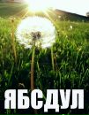 Рося Коробій фотография #39 (источник - https://vk.com/id20670057)
