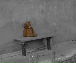 Миша Чердаков фотография #50 (источник - https://vk.com/id37705669)