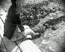 Діана Шаль фотография #3 (источник - https://vk.com/id147284191)
