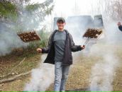 Фотография  