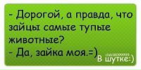 _приколистка_ _love_жизнь фотография #18 (источник - https://vk.com/id140282220)