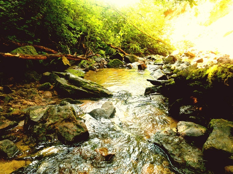 Евгений Ратников фотография #37