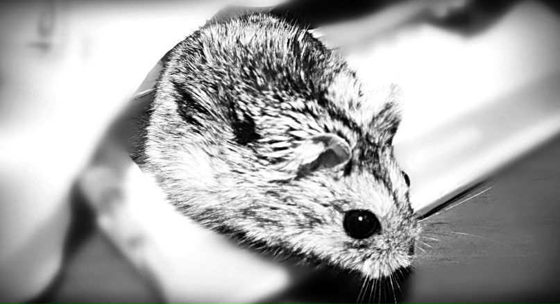 Ирина Коломникова фотография #46